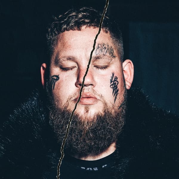 Rag'n'Bone Man - Life By Misadventure (2 LP)