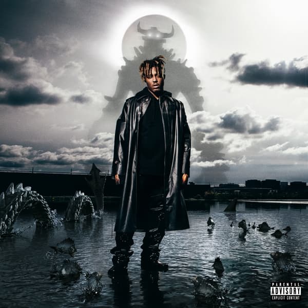 Juice WRLD - Fighting Demons (2 LP)