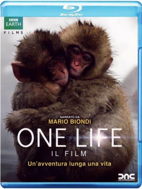 One Life (bs) (BRD)