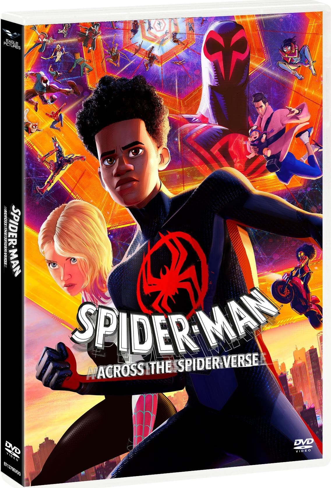 Spider-Man: Across The Spider-Verse (Dvd+Card) (Import)